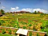 Beautiful Balinese Villa