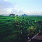 Beautiful Balinese Villa