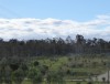 Nice Large Acreage Of Grazing Land South Of Maryborough