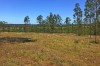 Nice Large Acreage Of Grazing Land South Of Maryborough