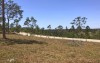 Nice Large Acreage Of Grazing Land South Of Maryborough