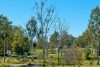 Brisbane Qld House On Acreage Plus Additional Block