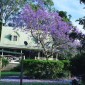 Extensive Waterviews And Close To Brisbane City